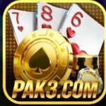 Pak3 Game