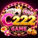 C222 Game