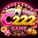 C222 Game
