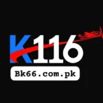 K116 Game